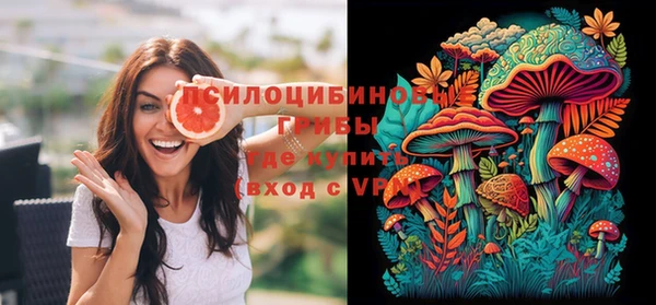 Альфа ПВП Алзамай